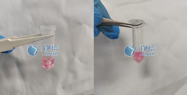 1701768297245114.jpg 1701768297245114.jpg