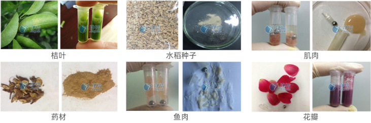 1705988612146639.png 1705988612146639.png