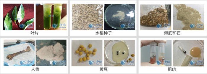 1723455701125238.png 1723455701125238.png